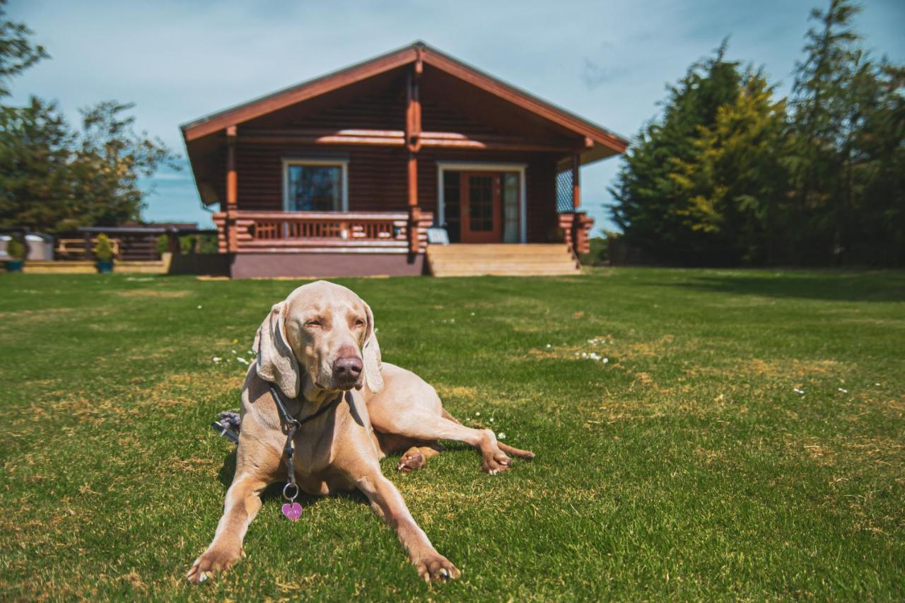Tomatin - Luxury Two Bedroom Log Cabin With Hot Tub Berwick Upon Tweed Dış mekan fotoğraf
